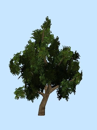 Oak Tree | ViewTec LLC